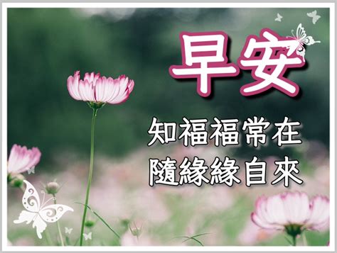 考試順利長輩圖|《線上長輩圖產生器》自己製作長輩圖～自訂圖片背景和文字